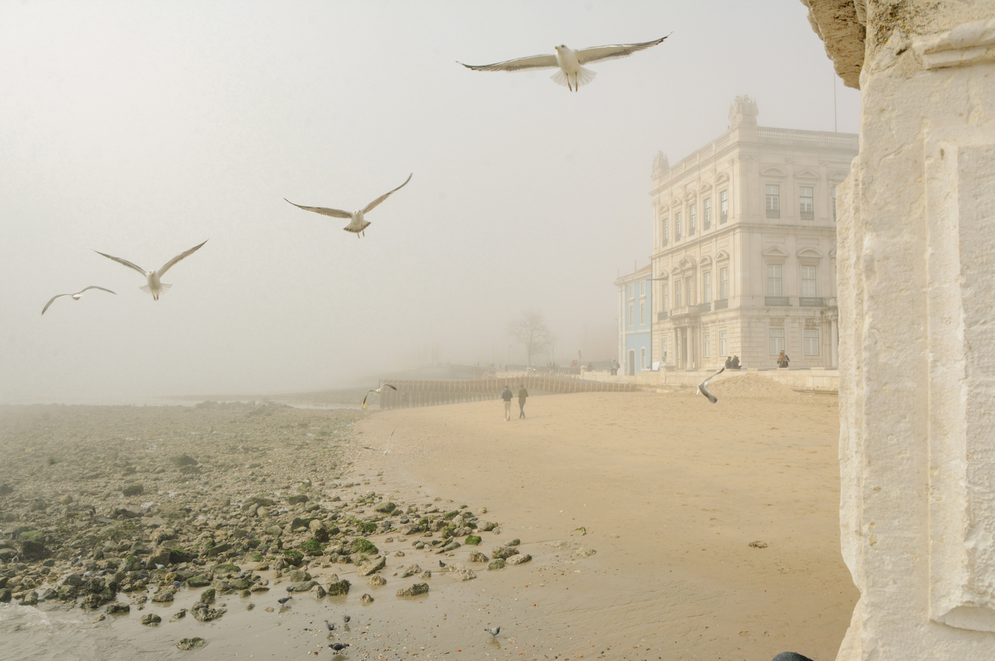 "Morning in Portugal" Poster