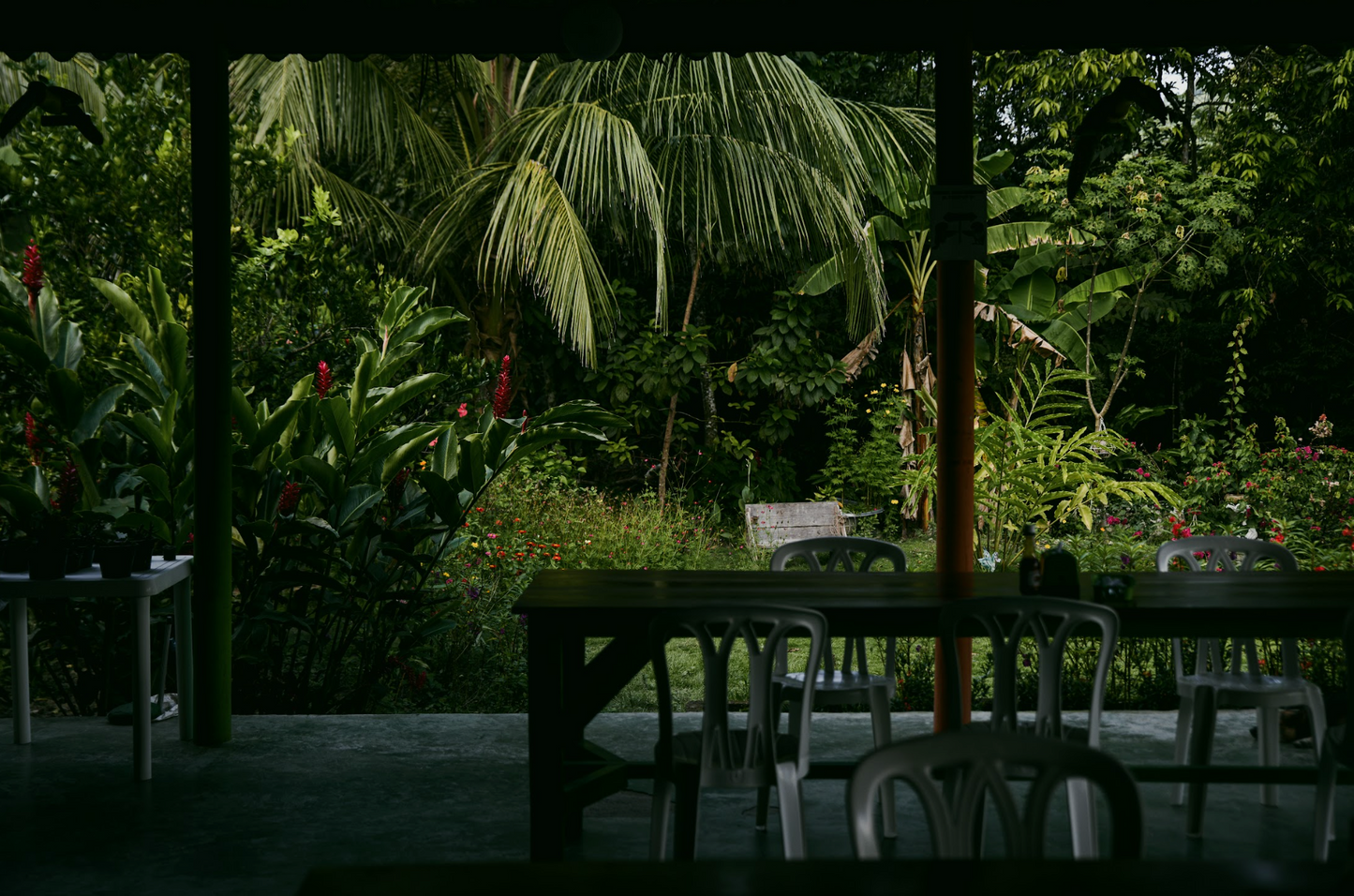 "Silence of the Jungle" Poster