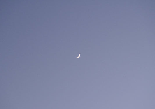 Image at position 2