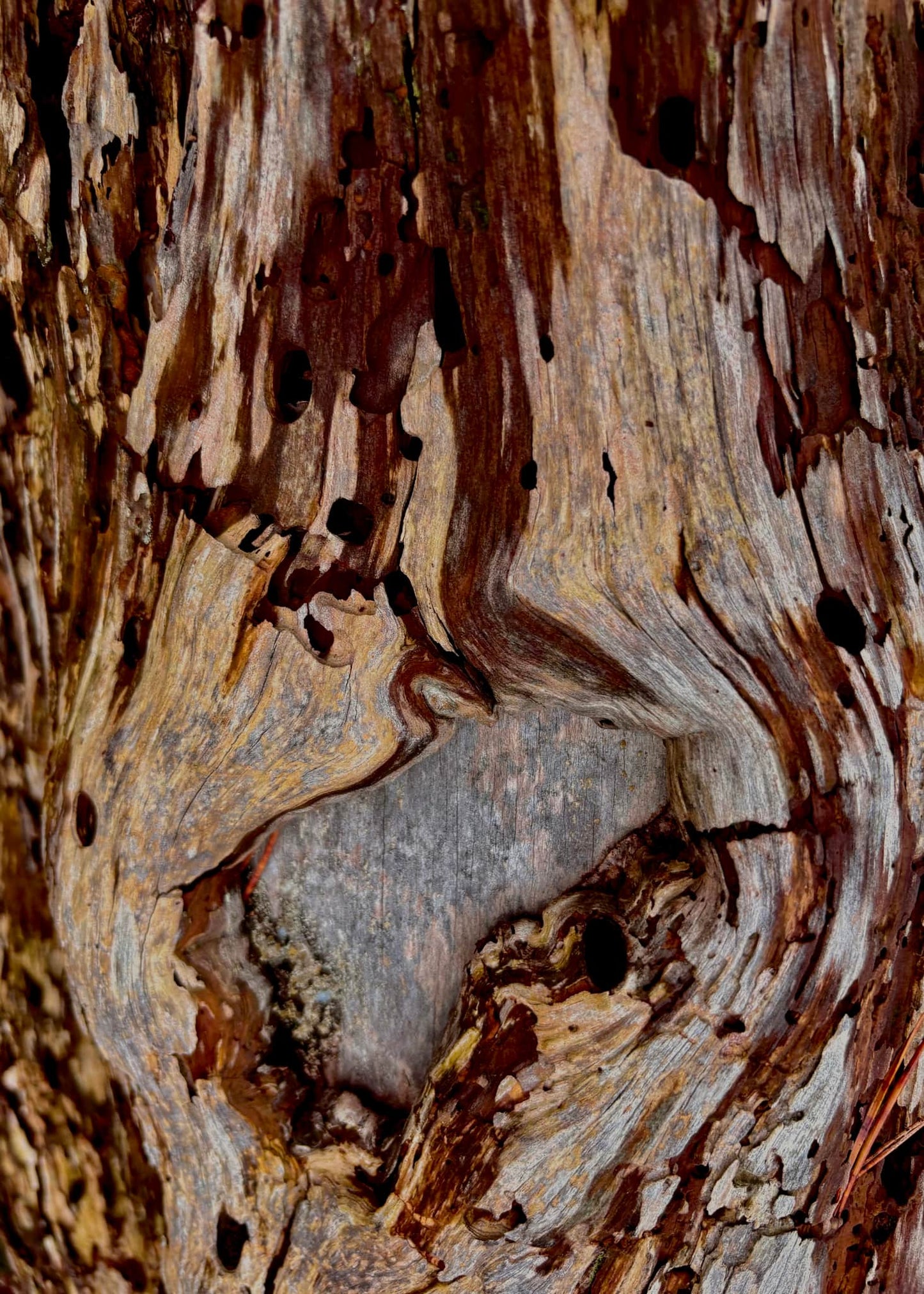 Image at position 5