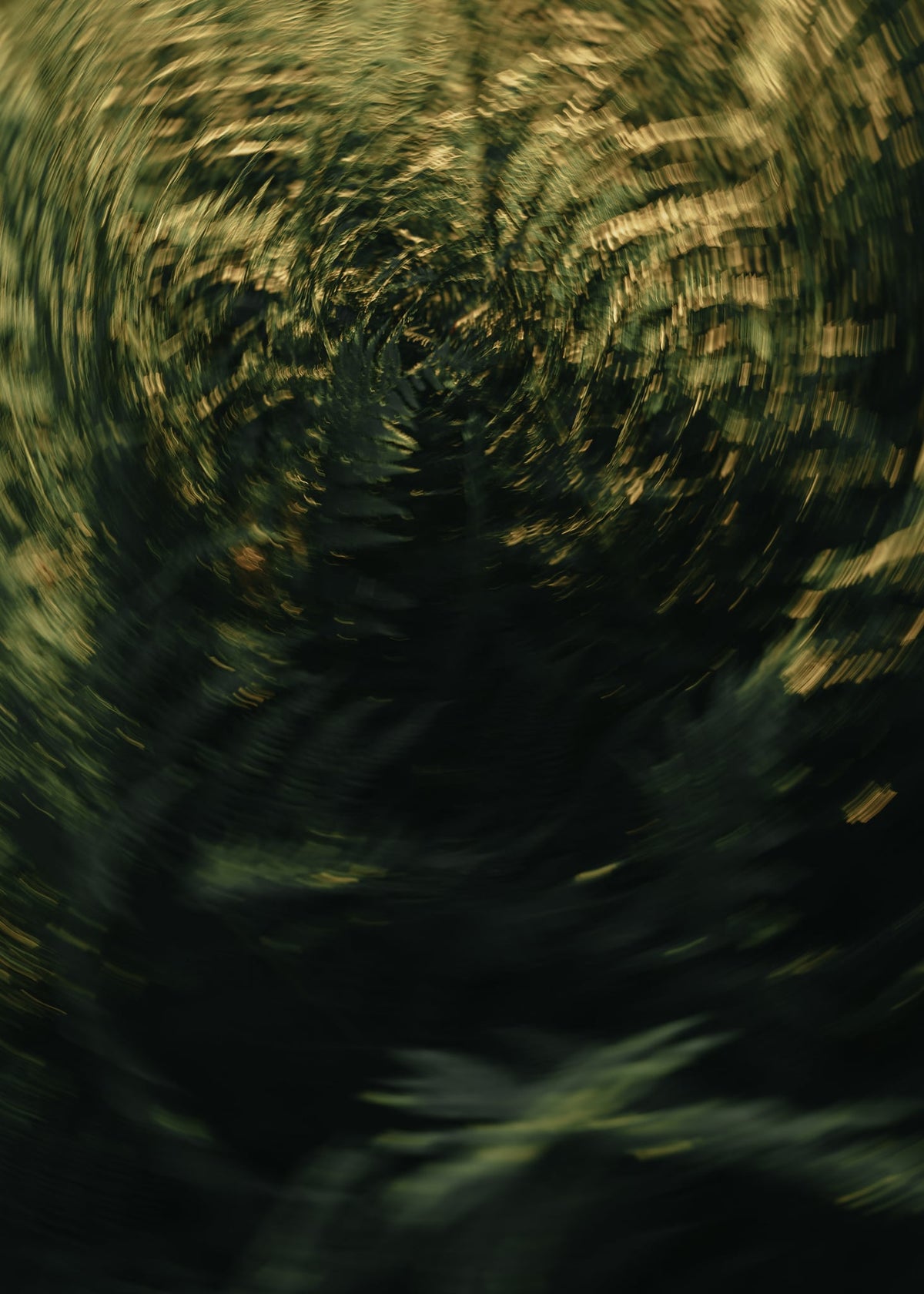 Image at position 1