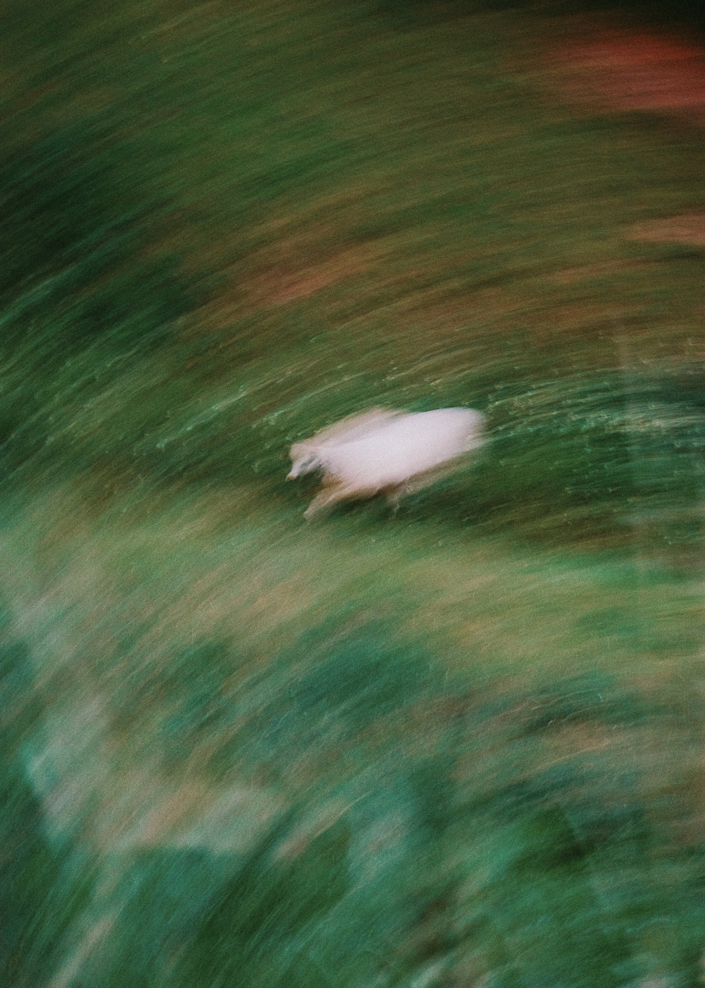 Image at position 4