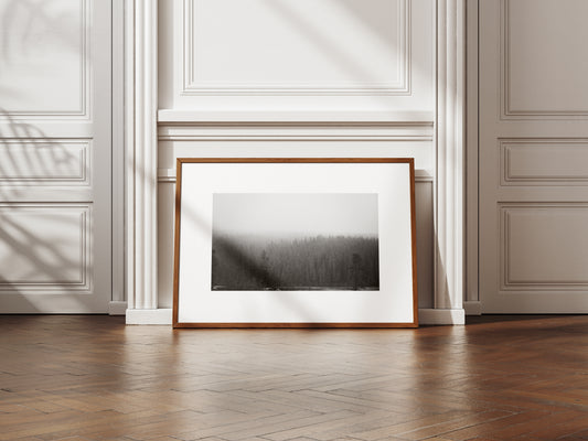 Image at position 1