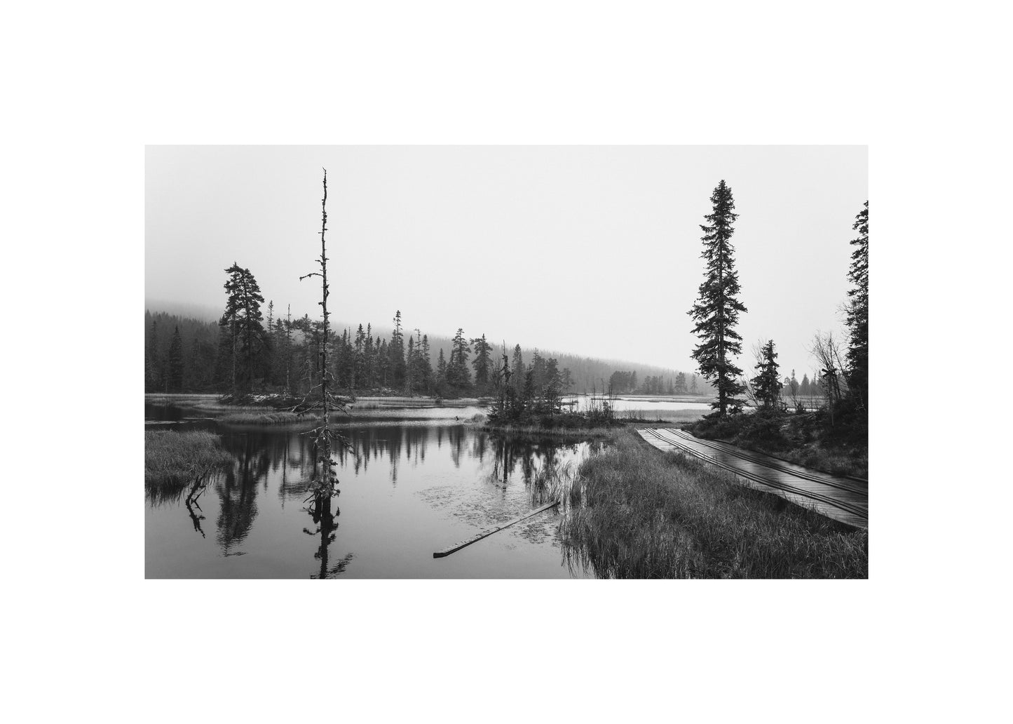 Image at position 2