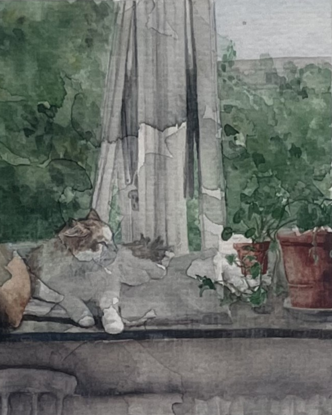 Image at position 3