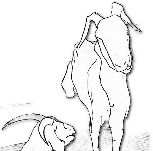 Image at position 2