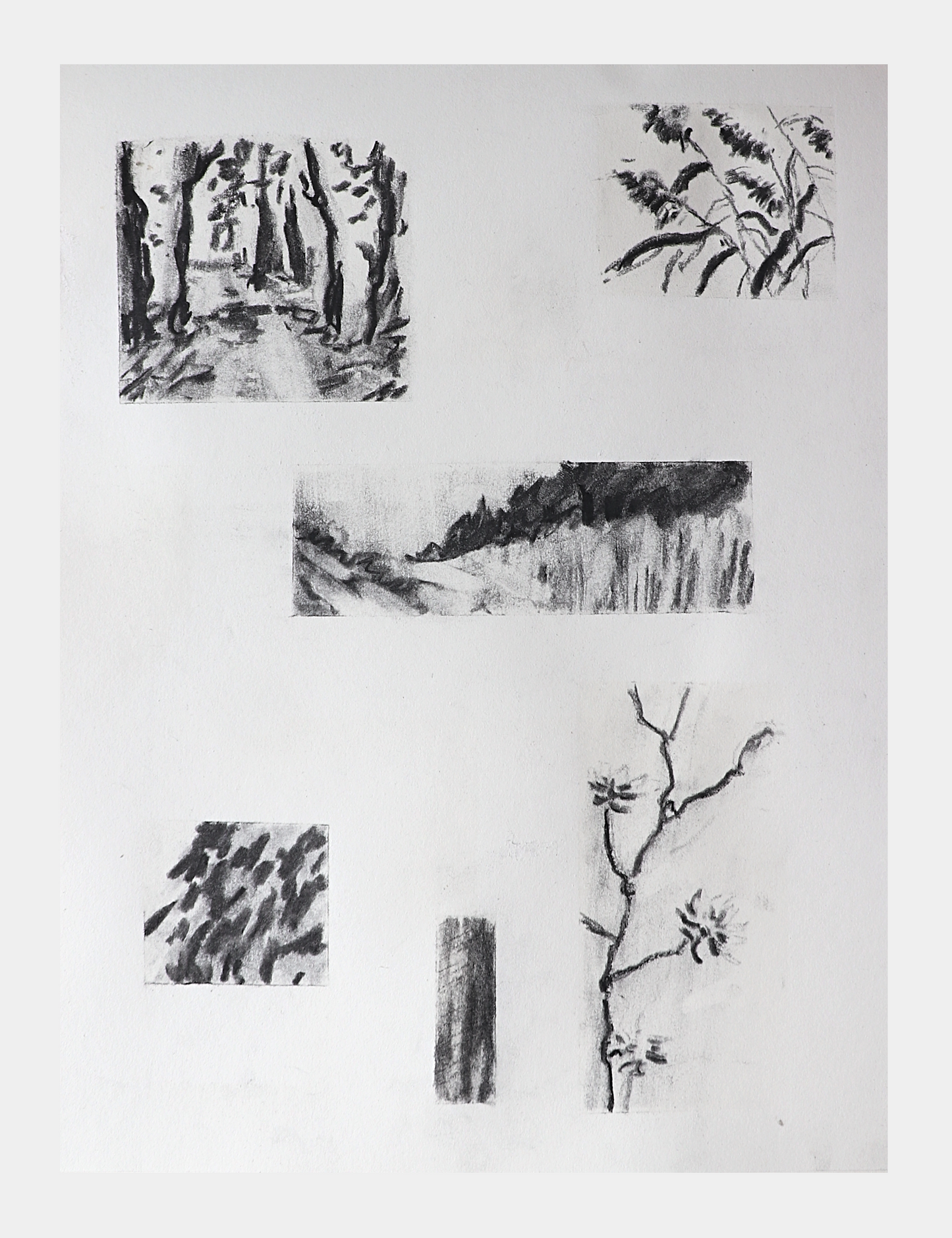 Image at position 1