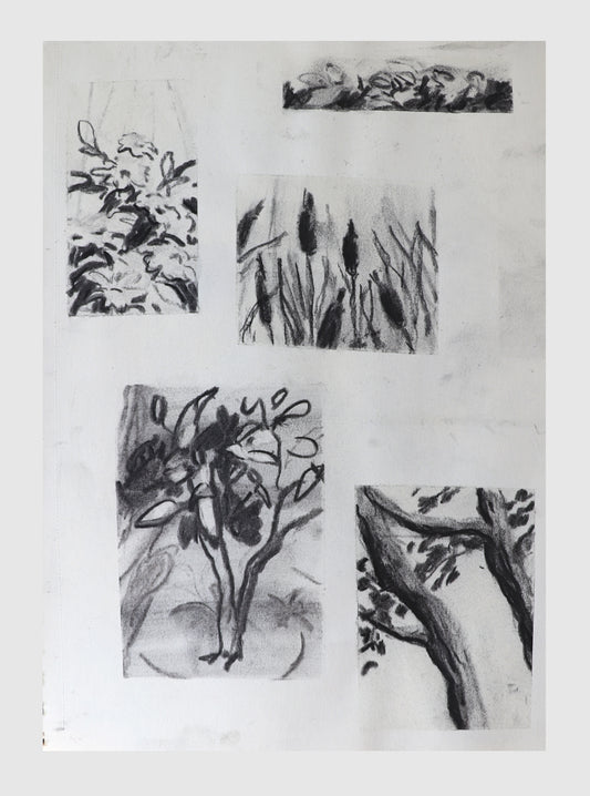 Image at position 1