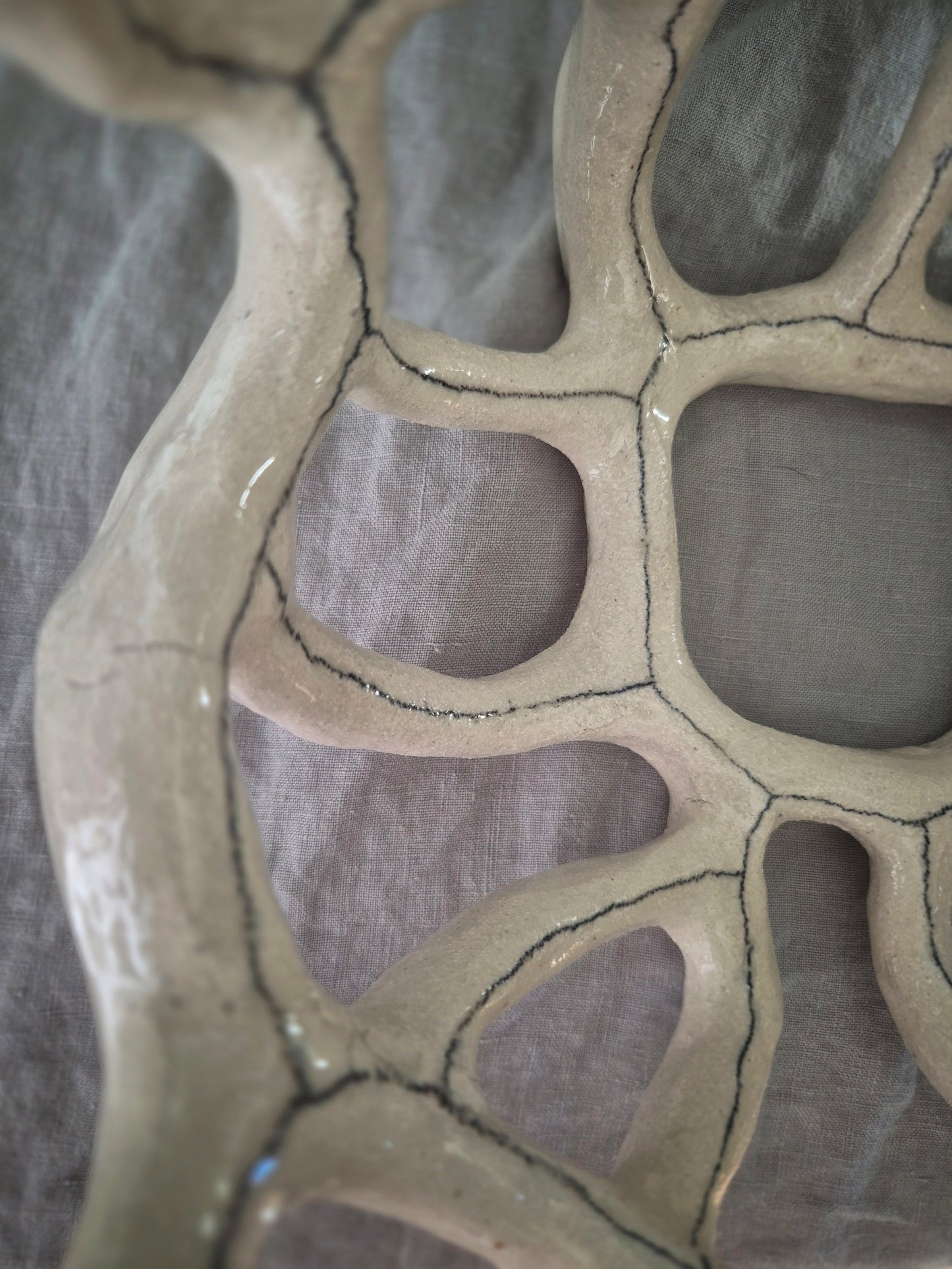 Image at position 5