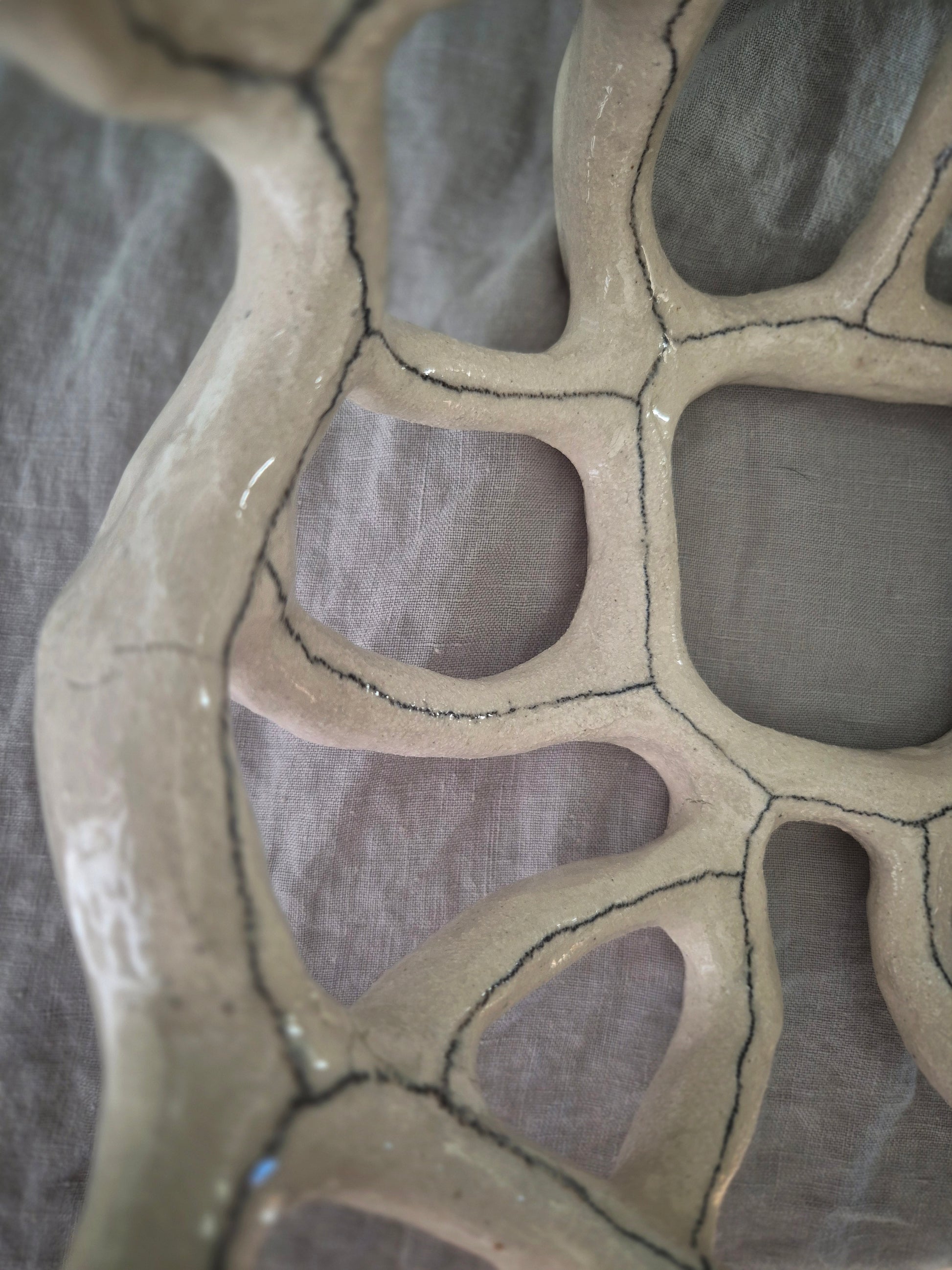 Image at position 5