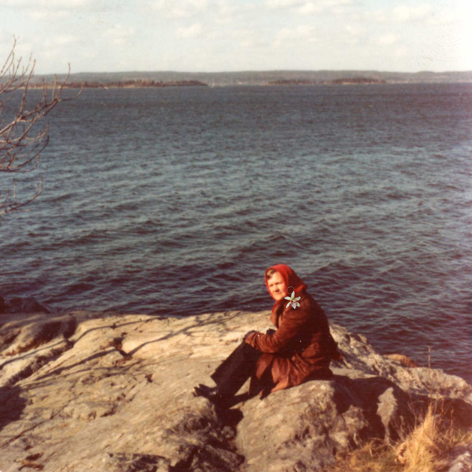 Image at position 1