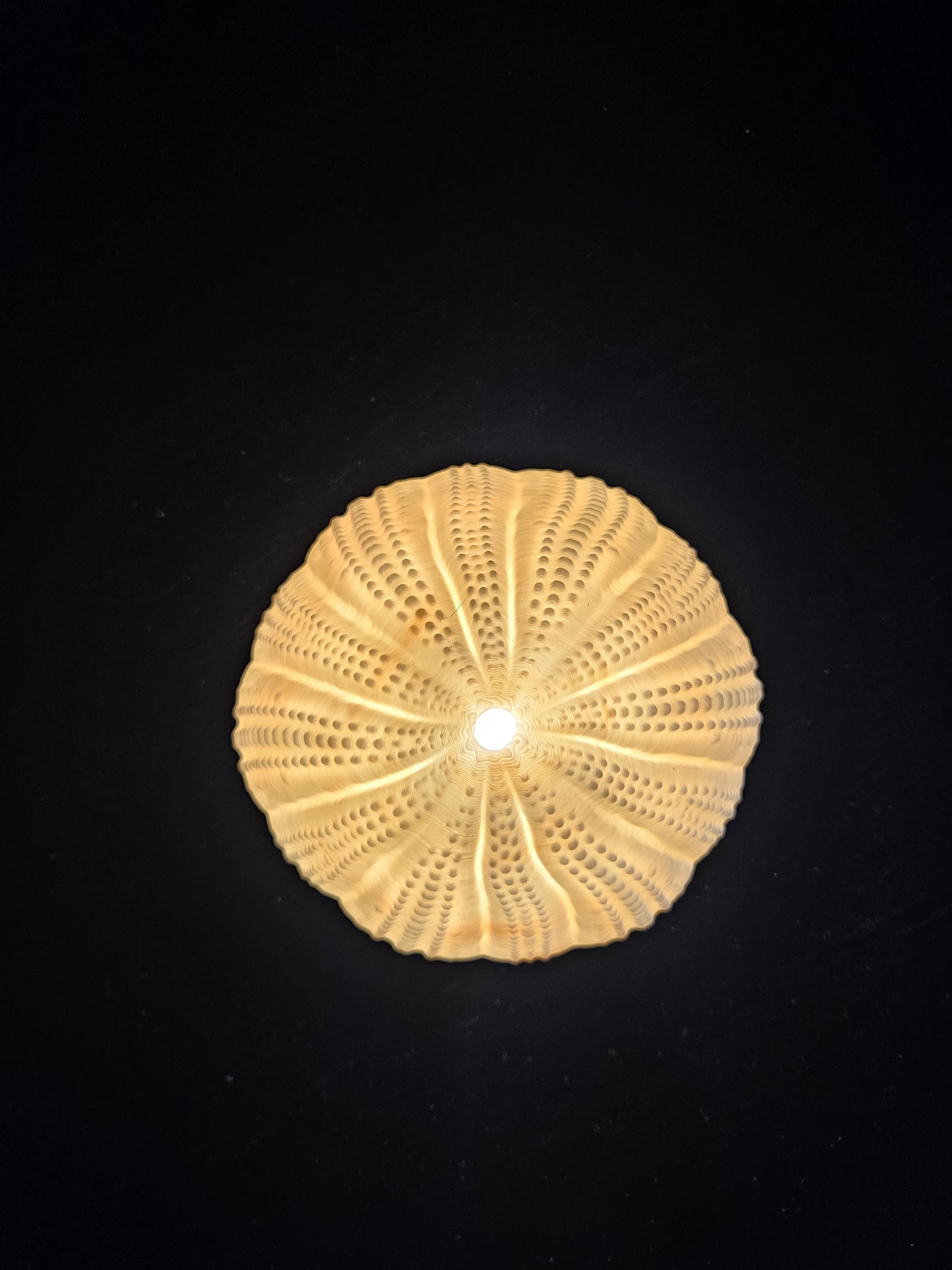 Image at position 2