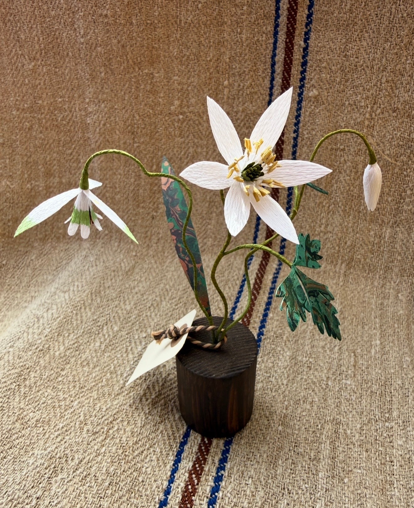 Image at position 1
