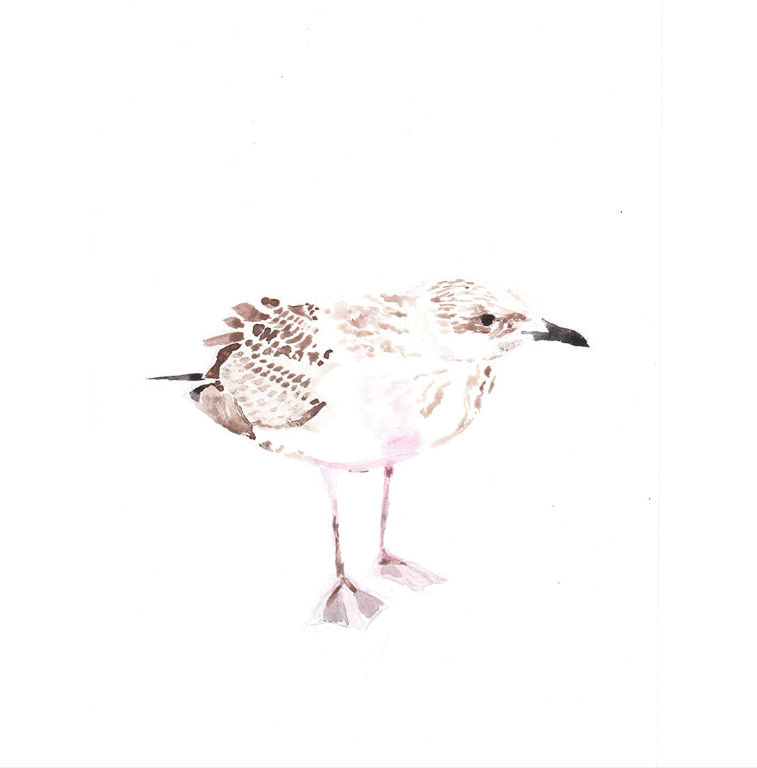 Image at position 1