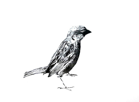 Image at position 1