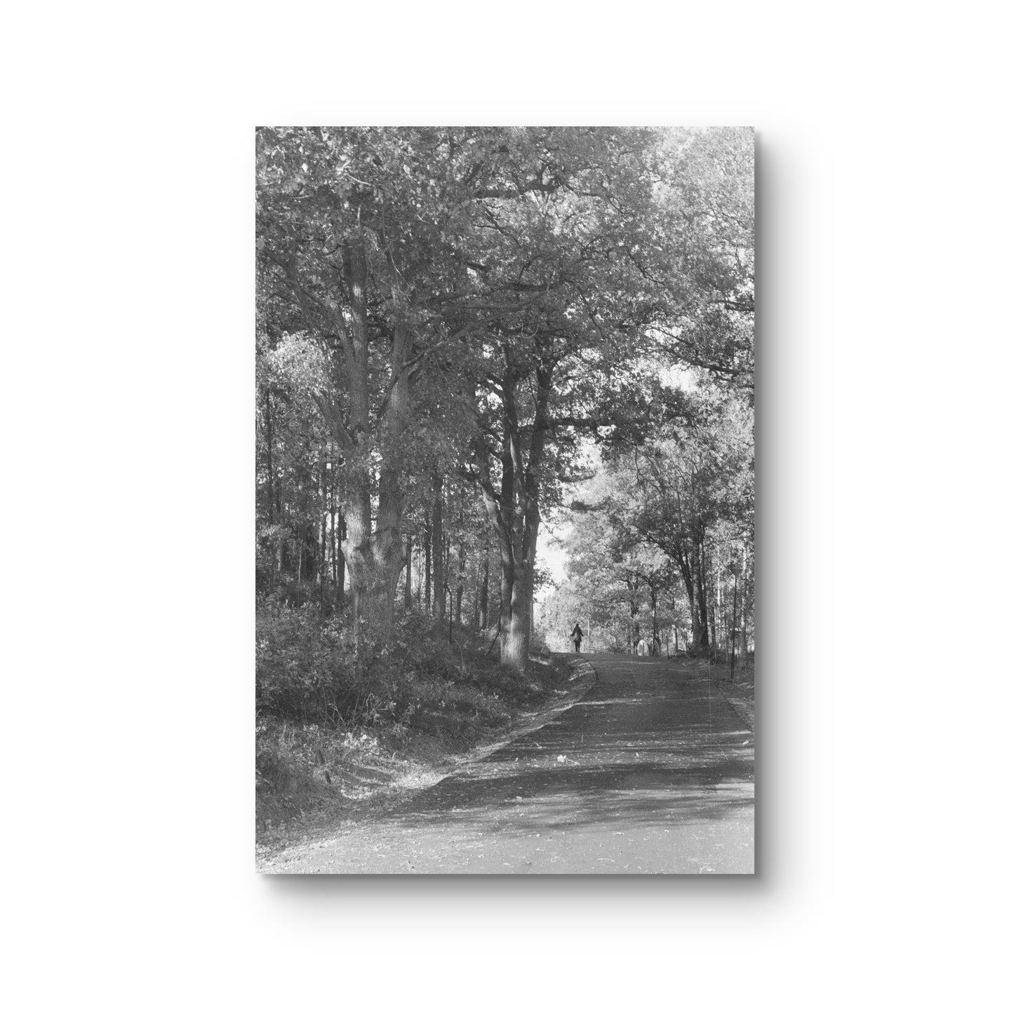 Image at position 2