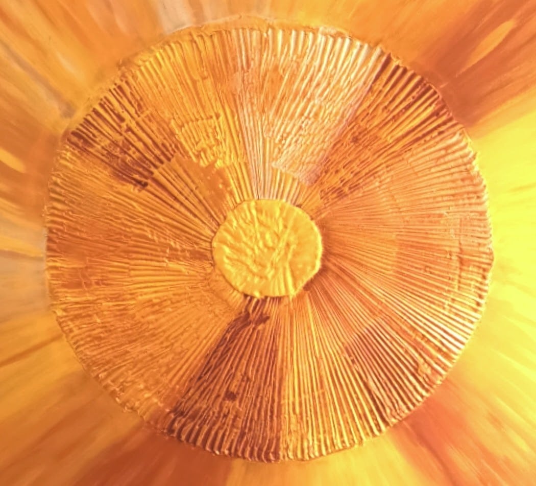 Image at position 5