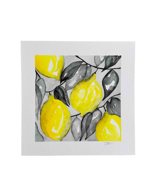 Citrusdance original