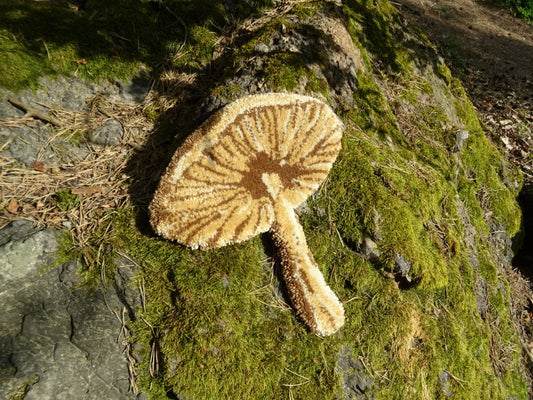 Svampmatta - Parasol (Beige)