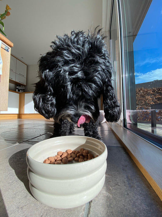 Hundskål - Beige (Anpassningsbar)