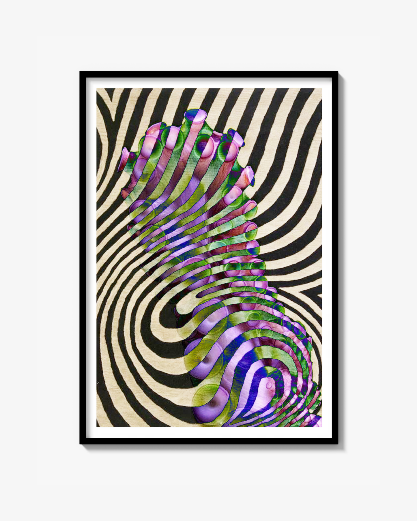 Zebra Print