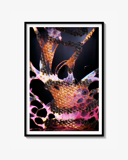 Rosa Orm Print