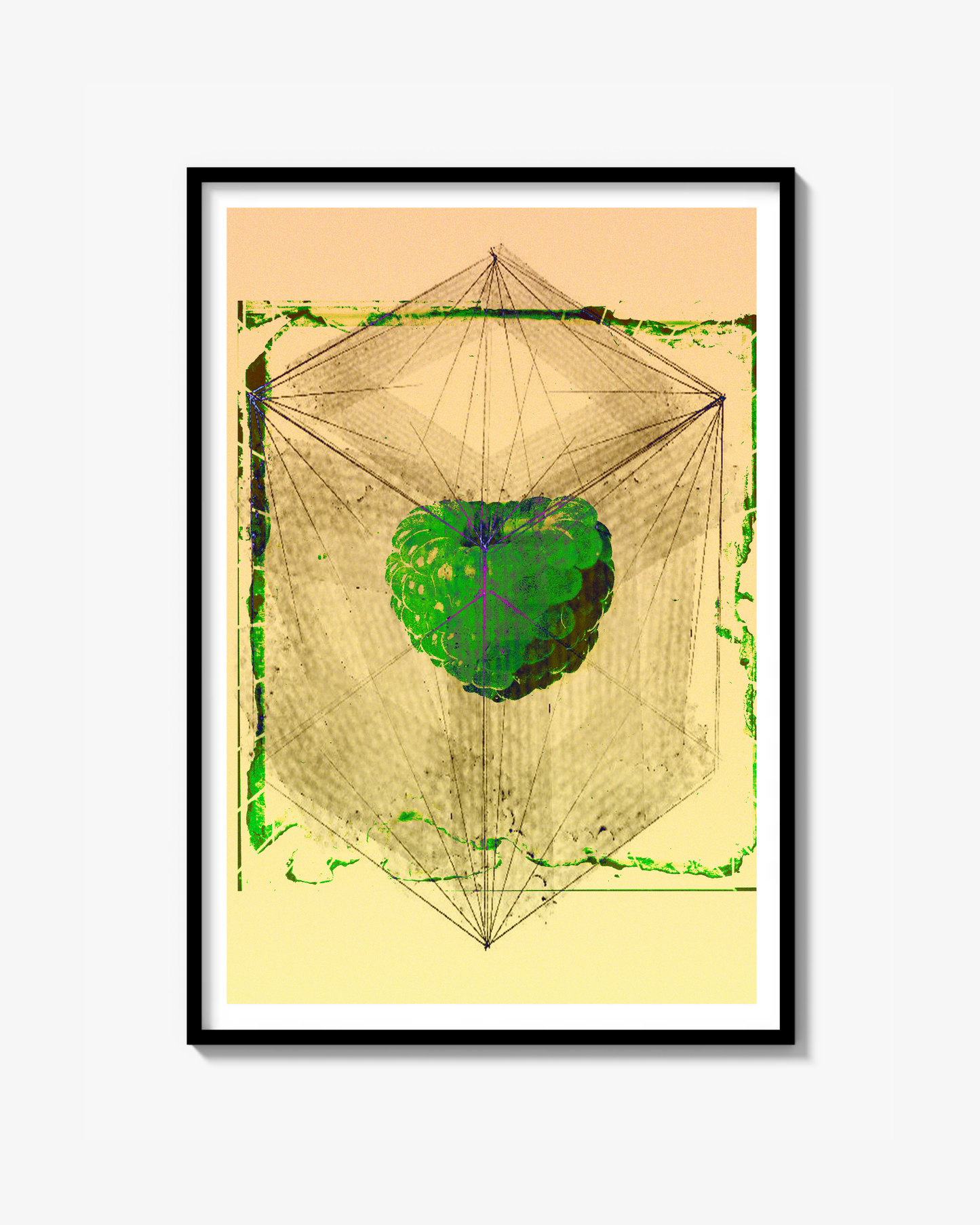 Rasberry dream Print