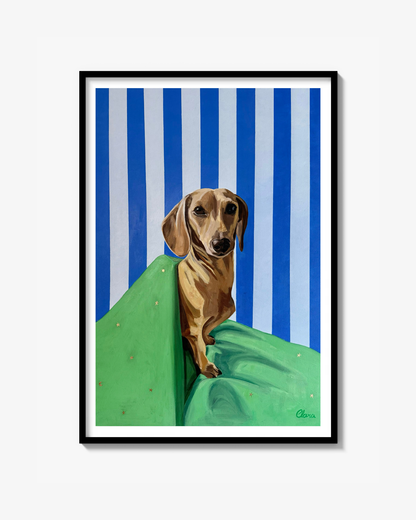 Calm Dachshund Fine Art Print