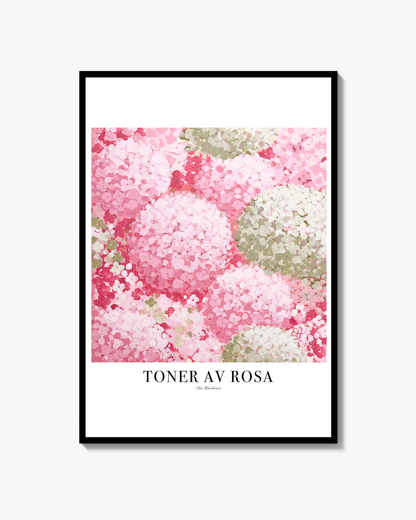 Toner av rosa Poster