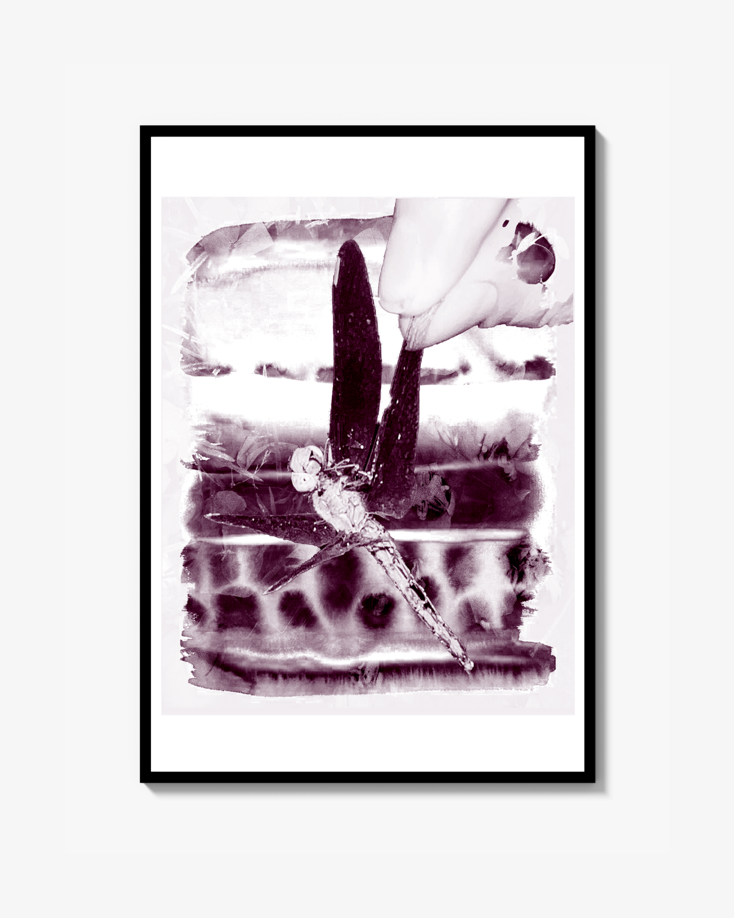 Trollslända Print