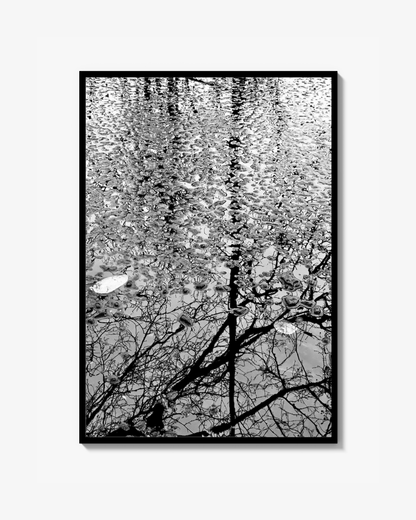 Lake Print