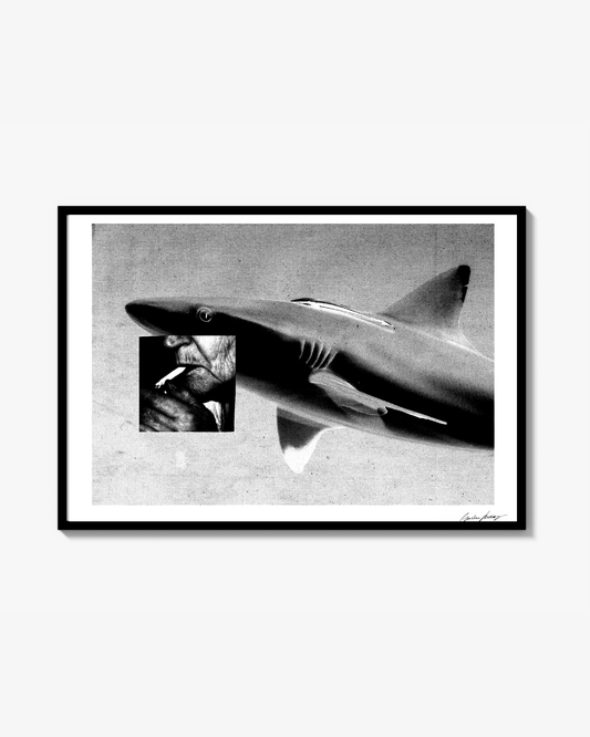 Smoking Shark Poster