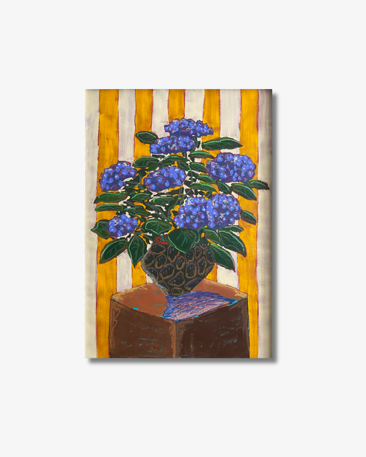 Hydrangea Original
