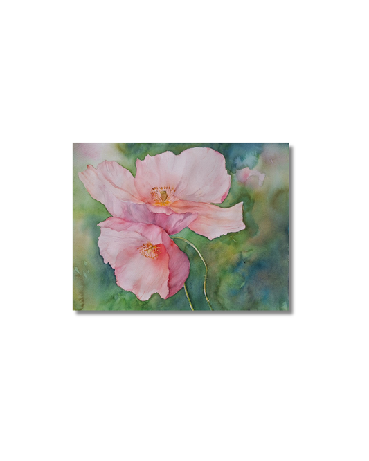 Akvarell Original, pink poppy or Poppy I