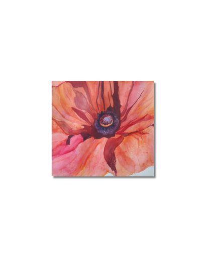 Poppy in red, closeup. Eller: Poppy II Original