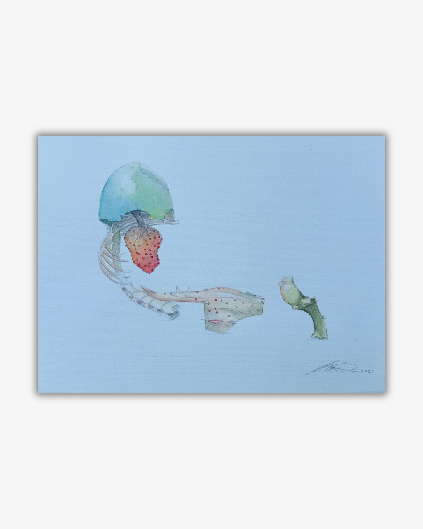 Shell, Skull and Weed. 2024 Original