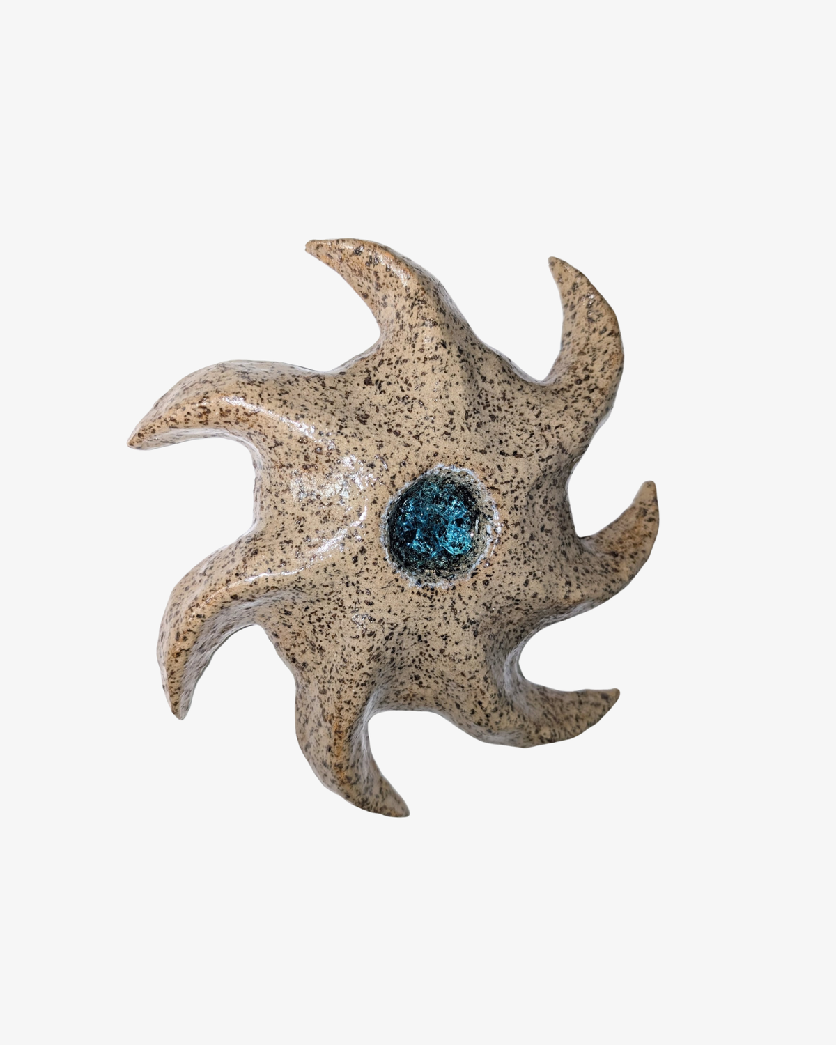 Väggkonst SEA STAR