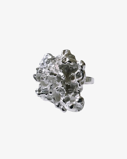 Organisk silverring - Nordic nature