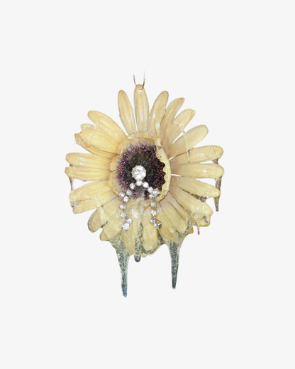 WET ASTERACEAE Örhängen Beige