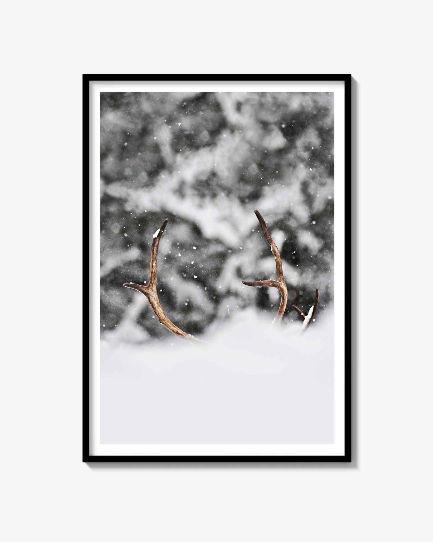 Standing Reindeer Print