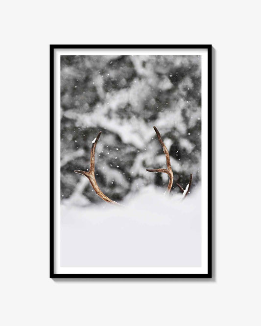 Standing Reindeer Print
