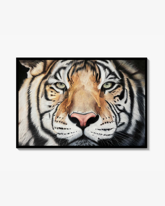 TIger - Signerad och numrerad Fine Art Print (från originalmålning)