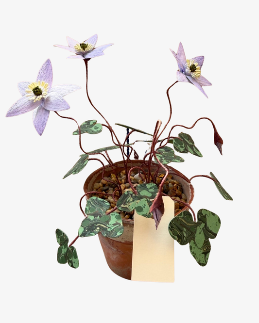 Blå Anemone Krukväxt Skulptur