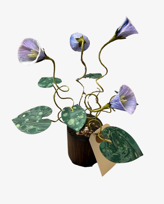 Morning Glory plant Skulptur