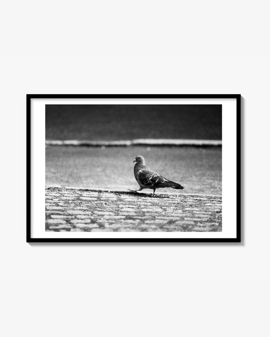 On My Way Print