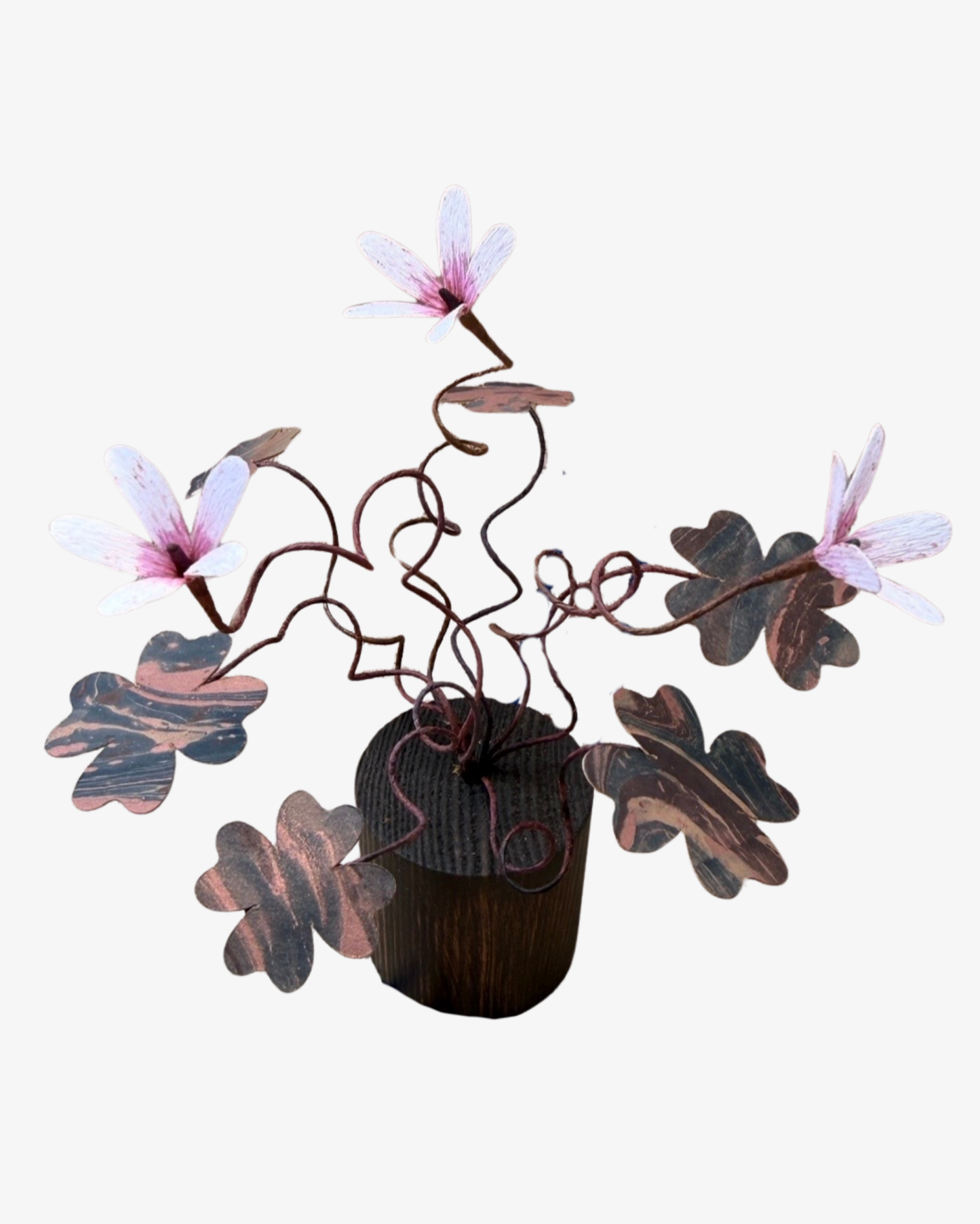 Oxalis plant Skulptur