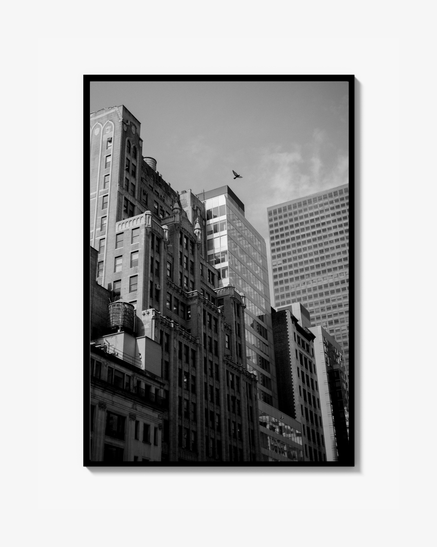 Simhopp Print