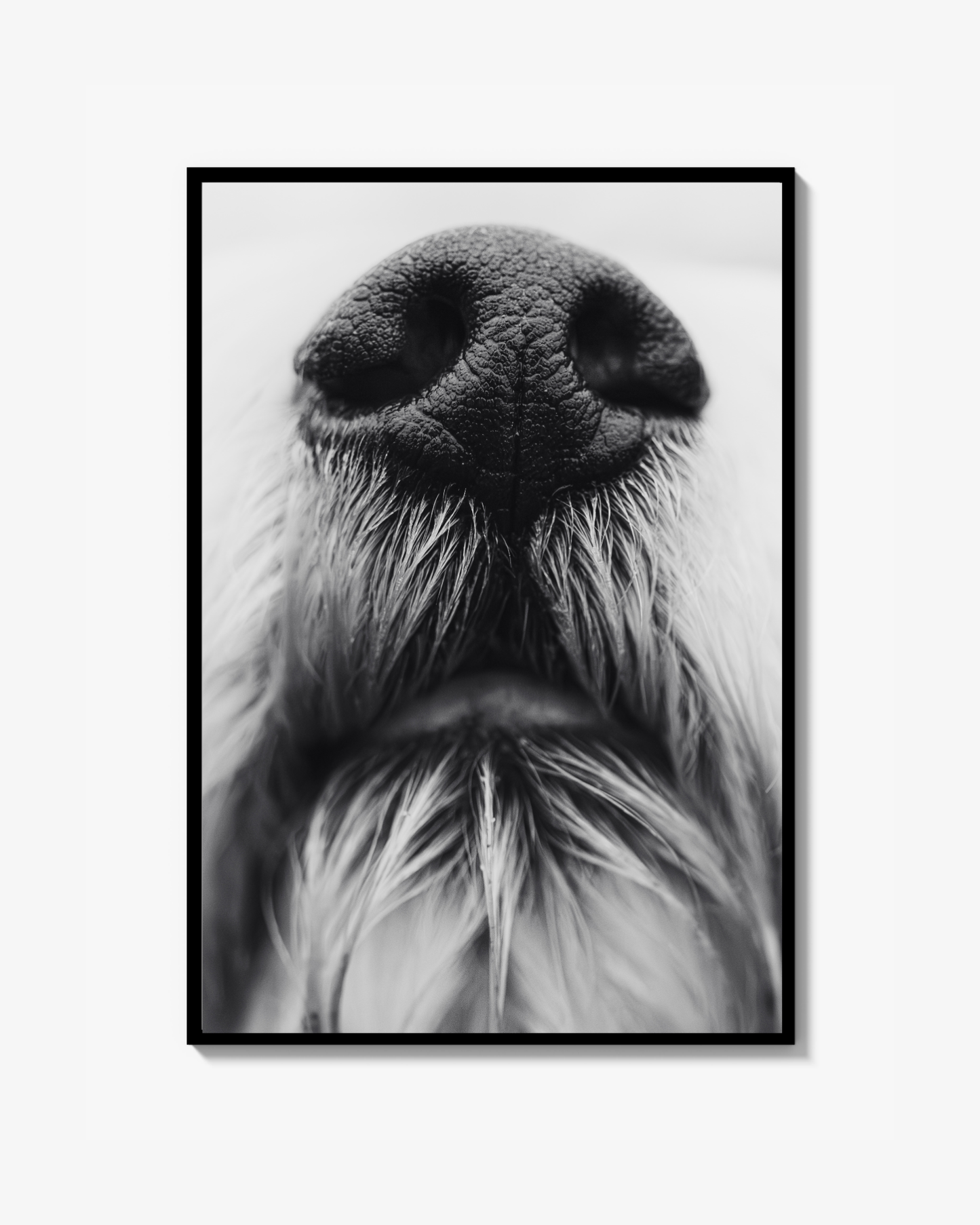 Boop Print
