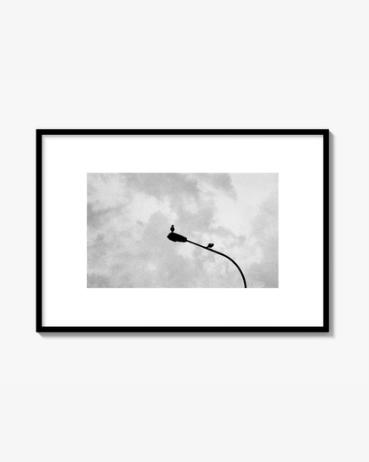 What Ya Lookin' At - Print