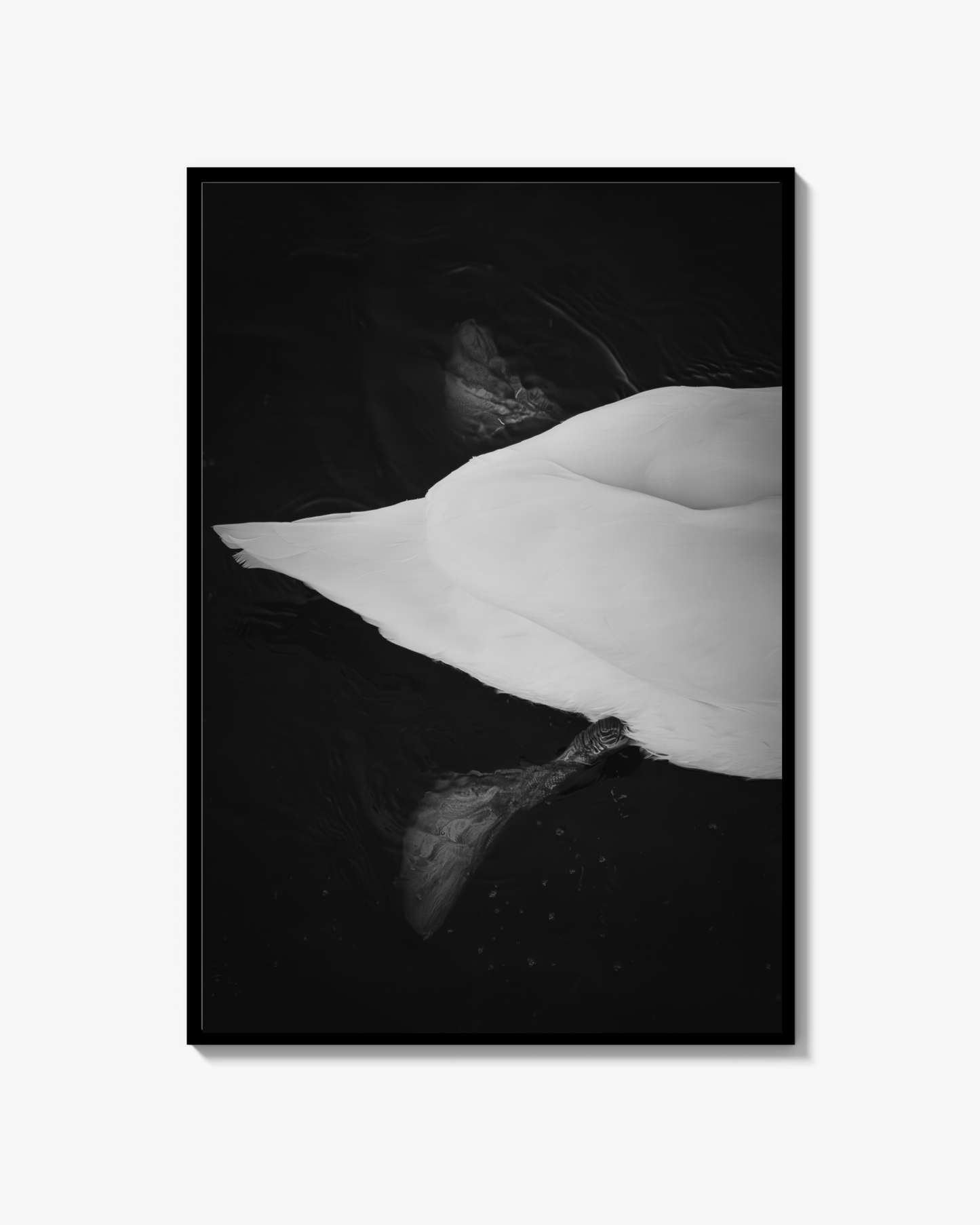 Paddles Print